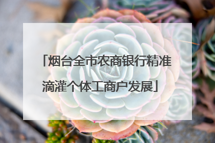 烟台全市农商银行精准滴灌个体工商户发展