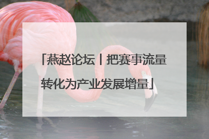 燕赵论坛丨把赛事流量转化为产业发展增量