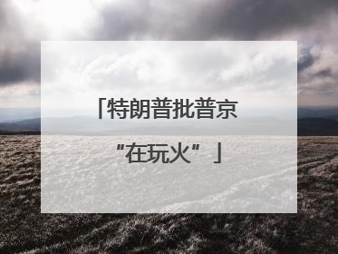 特朗普批普京“在玩火”