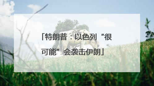 特朗普：以色列“很可能”会袭击伊朗