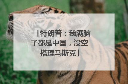 特朗普：我满脑子都是中国，没空搭理马斯克