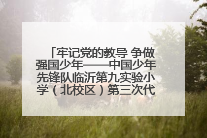 牢记党的教导 争做强国少年——中国少年先锋队临沂第九实验小学（北校区）第三次代表大会胜利召开