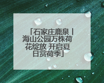石家庄鹿泉丨海山公园万株荷花绽放 开启夏日赏荷季
