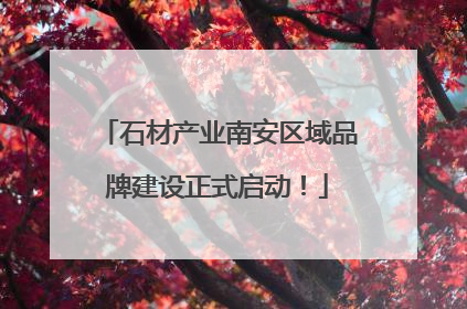 石材产业南安区域品牌建设正式启动！