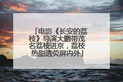 电影《长安的荔枝》导演大鹏带茂名荔枝进京，荔枝热甜透荧屏内外
