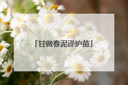 甘做春泥谨护苗