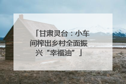 甘肃灵台：小车间榨出乡村全面振兴“幸福油”