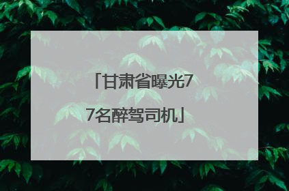 甘肃省曝光77名醉驾司机