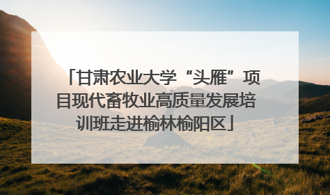 甘肃农业大学“头雁”项目现代畜牧业高质量发展培训班走进榆林榆阳区