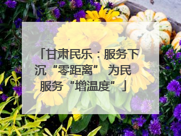 甘肃民乐：服务下沉“零距离” 为民服务“增温度”
