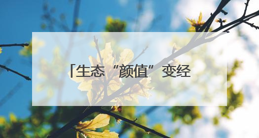 生态“颜值”变经济“产值”——解码肥城仪阳街道的“花色经济学”