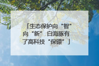 生态保护向“智”向“新” 白海豚有了高科技“保镖”