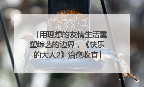 用理想的友情生活重塑综艺的边界，《快乐的大人2》治愈收官