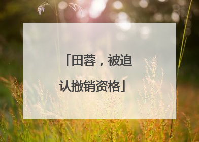 田蓉，被追认撤销资格
