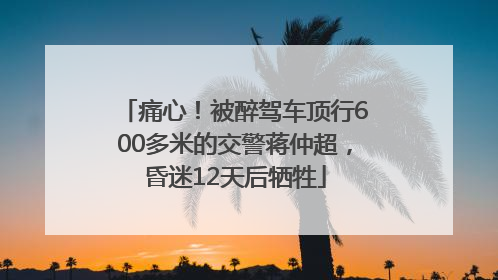 痛心！被醉驾车顶行600多米的交警蒋仲超，昏迷12天后牺牲