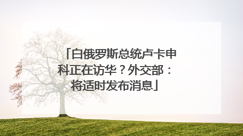白俄罗斯总统卢卡申科正在访华？外交部：将适时发布消息