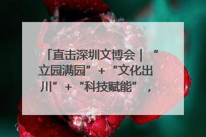 直击深圳文博会｜“立园满园”+“文化出川”+“科技赋能”，成都传媒发布三大文创领域合作清单