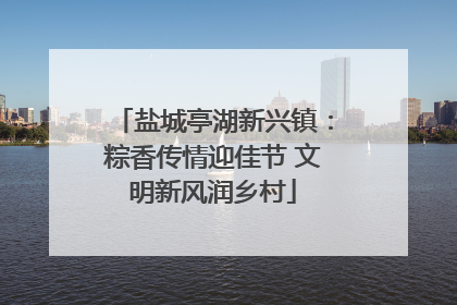 盐城亭湖新兴镇：粽香传情迎佳节 文明新风润乡村