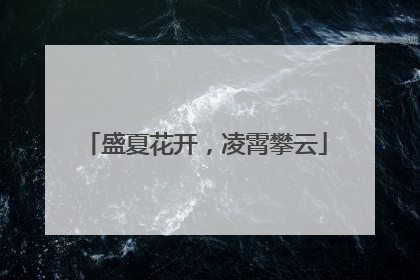 盛夏花开，凌霄攀云