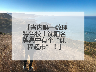 省内唯一数理特色校！沈阳名牌高中有个“课程超市”！