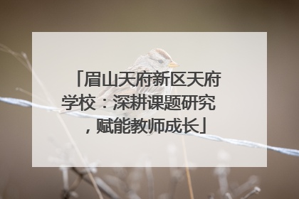 眉山天府新区天府学校：深耕课题研究，赋能教师成长