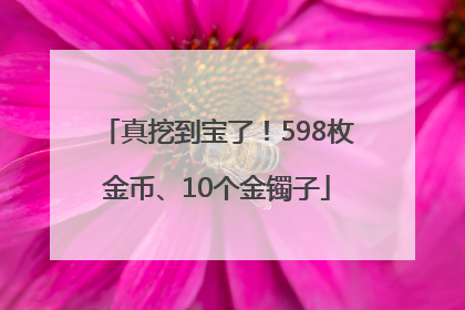真挖到宝了！598枚金币、10个金镯子