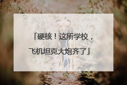 硬核！这所学校，飞机坦克大炮齐了