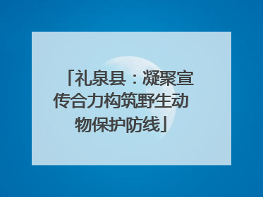 礼泉县：凝聚宣传合力构筑野生动物保护防线
