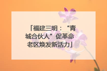 福建三明：“青城合伙人”促革命老区焕发新活力