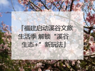 福建启动溪谷文旅生活季 解锁“溪谷生态+”新玩法