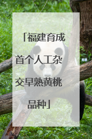 福建育成首个人工杂交早熟黄桃品种