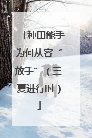 种田能手为何从容“放手”（三夏进行时）