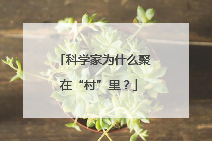 科学家为什么聚在“村”里？