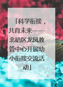 科学衔接，共育未来——北碚区龙凤教管中心开展幼小衔接交流活动