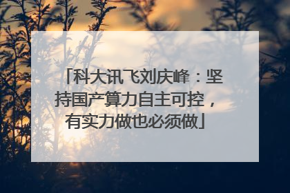 科大讯飞刘庆峰：坚持国产算力自主可控，有实力做也必须做