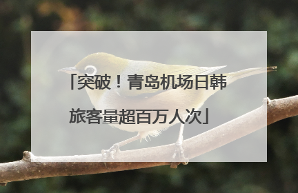 突破！青岛机场日韩旅客量超百万人次