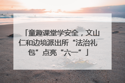 童趣课堂学安全，文山仁和边境派出所“法治礼包”点亮“六一”