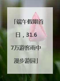 端午假期首日，31.67万游客雨中漫步游园
