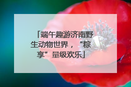 端午趣游济南野生动物世界，“粽享”量级欢乐