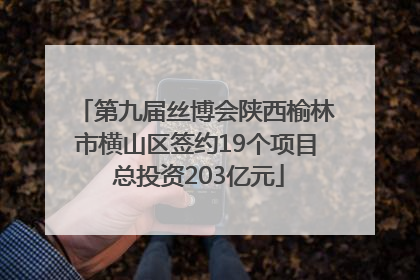 第九届丝博会陕西榆林市横山区签约19个项目 总投资203亿元