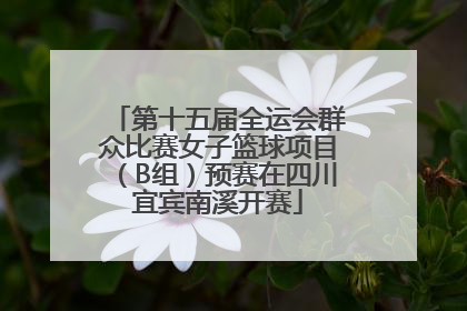 第十五届全运会群众比赛女子篮球项目（B组）预赛在四川宜宾南溪开赛