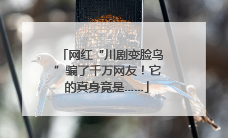 网红“川剧变脸鸟”骗了千万网友！它的真身竟是……