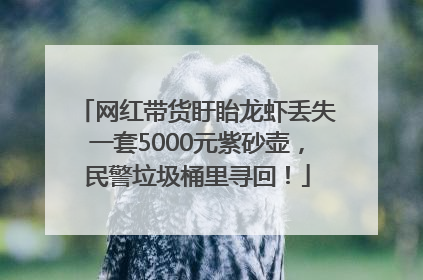 网红带货盱眙龙虾丢失一套5000元紫砂壶，民警垃圾桶里寻回！