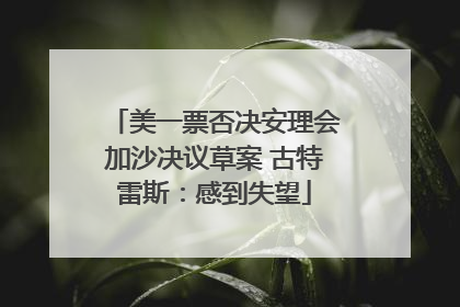 美一票否决安理会加沙决议草案 古特雷斯：感到失望