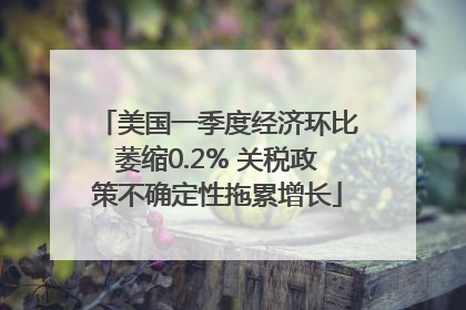 美国一季度经济环比萎缩0.2% 关税政策不确定性拖累增长