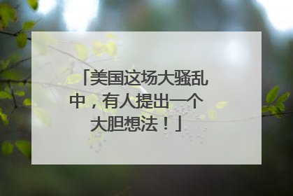 美国这场大骚乱中，有人提出一个大胆想法！