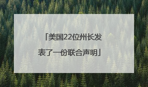 美国22位州长发表了一份联合声明