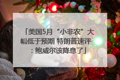 美国5月“小非农”大幅低于预期 特朗普速评：鲍威尔该降息了