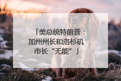 美总统特朗普：加州州长和洛杉矶市长“无能”