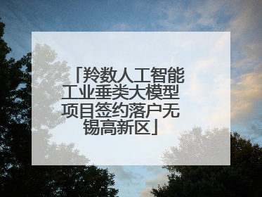 羚数人工智能工业垂类大模型项目签约落户无锡高新区